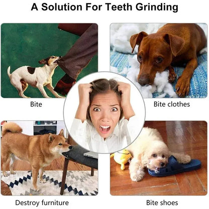 Rubber Chew Ball Treat Feeder