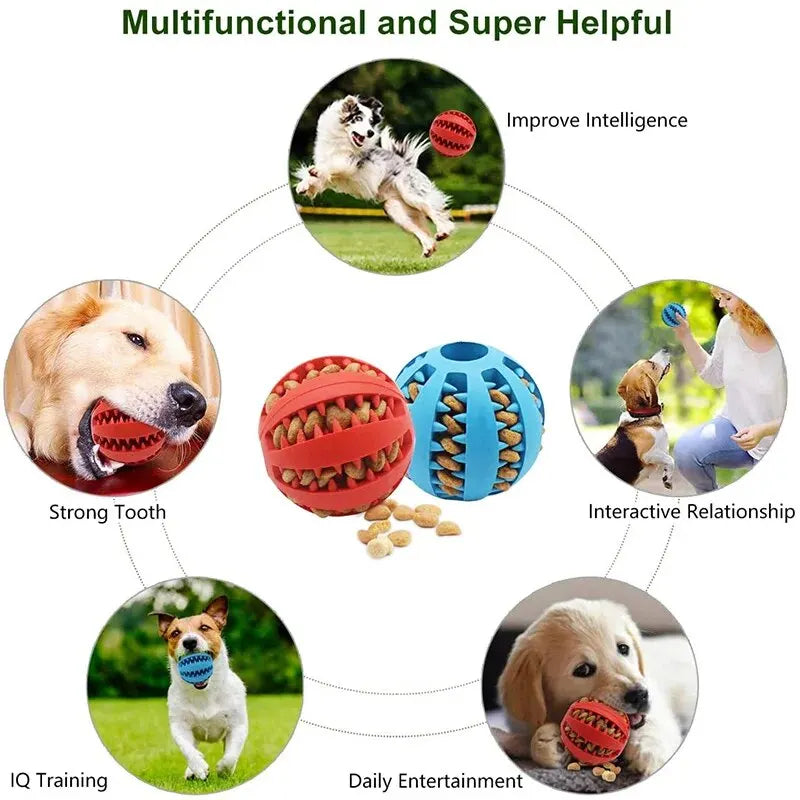 Rubber Chew Ball Treat Feeder