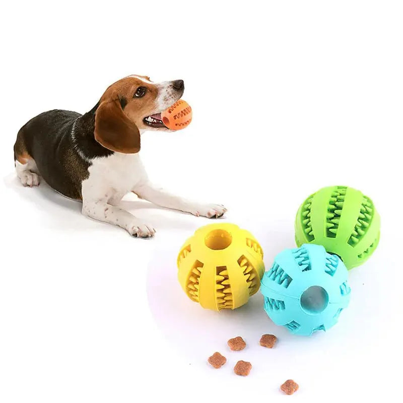 Rubber Chew Ball Treat Feeder